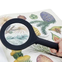 Balvi Vergrootglas Zoom met licht