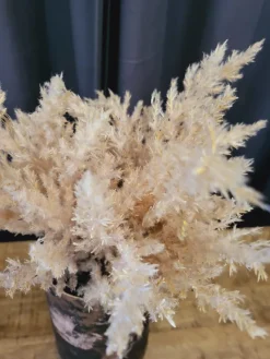 Countryfield Astilbe boeket met LED verlichting lichtbruin