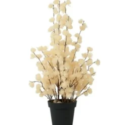 Countryfield Bloem in pot Clematis alpina XL crème 18 x 18 x 82 cm