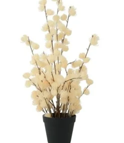 Countryfield Bloem in pot Clematis alpina L crème 16 x 16 x 66 cm