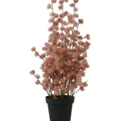 Countryfield Bloem in pot Clematis alpina XL oud roze 18 x 18 x 82 cm