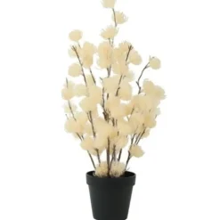Countryfield Bloem in pot Clematis alpina M crème 57 cm | Countryfield