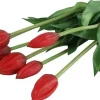 Countryfield Boeket kunstbloemen Tulip rood