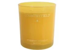 Countryfield Countryfield Geurkaars Optimism Geel - Medium of Large