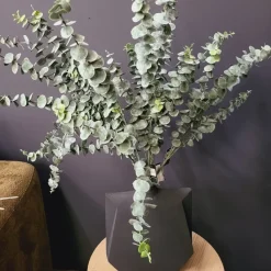 Countryfield Countryfield Kunsttak Eucalyptus Groen 88 cm