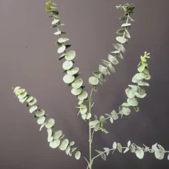 Countryfield Countryfield Kunsttak Eucalyptus Groen 88 cm