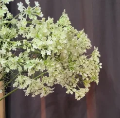 Countryfield Heracleum sphondylium wit kunsttak - Countryfield