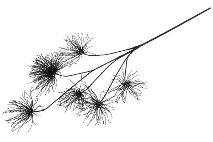 Countryfield Kunstbloem Grevillea M zwart