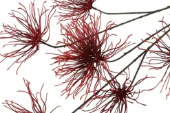 Countryfield Kunstbloem Grevillea M Rood Paars