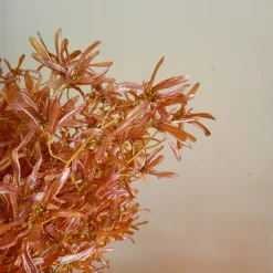 Countryfield Kunstbloem Sparkly Forsythia S goud
