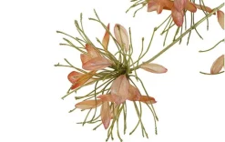 Countryfield Kunstbloem Sparkly Cleome S donkerroze