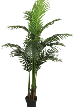 Countryfield Kunstplant Areca L groen 160 cm