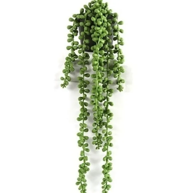 Countryfield Kunstplant Senecio Rowleyanus - Exotische Hangplant