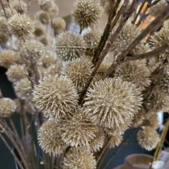 Countryfield Kunsttak Bloem Echinops champagne - 4 x 13 x 105 cm