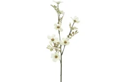 Countryfield Kunsttak Cornus S crème