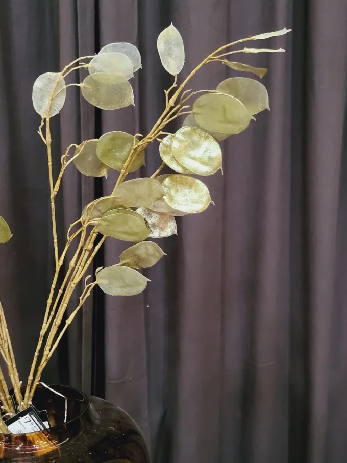 Countryfield Kunsttak Lunaria biennis L - groen