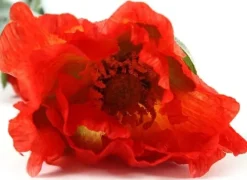 Countryfield Kunsttak Papaver Jodie oranje