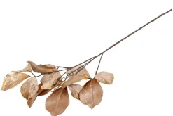 Countryfield Kunsttak Parthenocissus S bruin