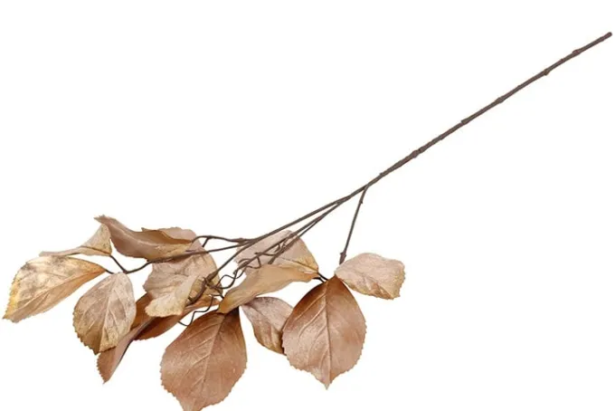 Countryfield Kunsttak Parthenocissus S bruin