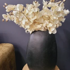 Countryfield Kunsttak Phalaenopsis crème