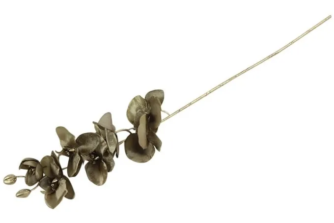 Countryfield Kunsttak Phalaenopsis bruin