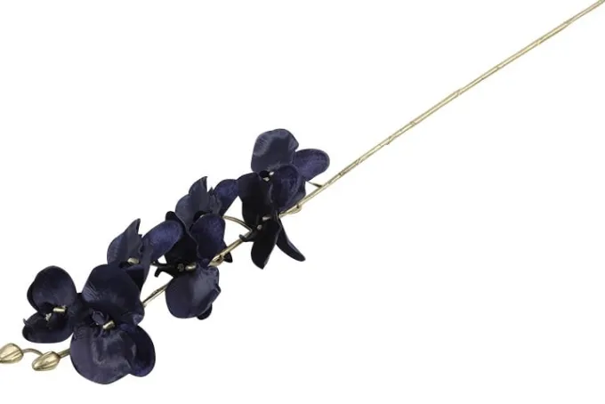 Countryfield Kunsttak Phalaenopsis donkerblauw