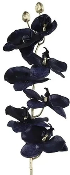 Countryfield Kunsttak Phalaenopsis donkerblauw