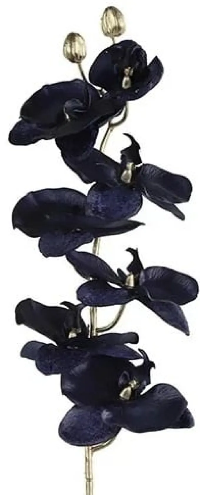 Countryfield Kunsttak Phalaenopsis donkerblauw