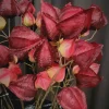 Countryfield Kunsttak Physalis vuur rood