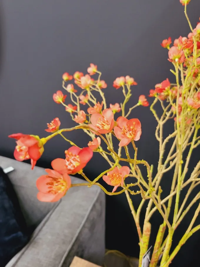 Countryfield Kunsttak Prunus Mume S rood
