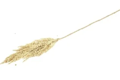 Countryfield Kunsttak Sorghum beige - Sfeervolle zijden tak voor in de vaas