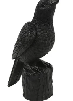 Countryfield Ornament Vogel Karolus L zwart