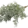 Countryfield Plant steker Pistacia L grijsgroen-15x15x53CM