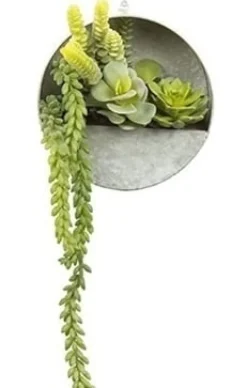 Countryfield Senecio groen met hangbakje