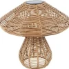 Countryfield Solar paddenstoel Miluska L bruin-L32,5B32,5H30,5CM