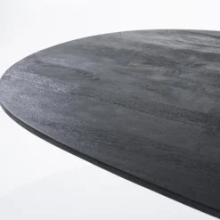 Eleonora Eettafel Aron ovaal 250x110 - zwart