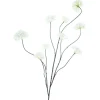 ISAA Kunsttak Snowball branch Salla Crème - 126cm