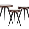 Leitmotiv Bijzettafel set van 3 Tripod met metalen poten