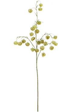 Light en Living Kunstbloem 20x10x100 cm PHYSALIS licht groen