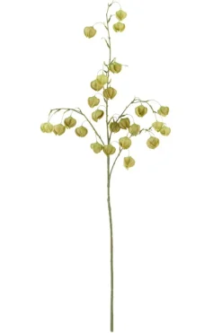 Light en Living Kunstbloem 20x10x100 cm PHYSALIS licht groen