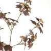 Light en Living Kunstbloem 20x10x110 cm MAPLE bordeaux-donker bruin