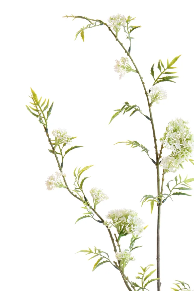Light en Living Kunsttak 110X20X5 Cm GYPSOFILA groen-creme
