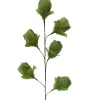 Light en Living Ornament 6 bloemen 90 cm TULIP groen