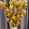 Light en Living Ornament 6 bloemen 90 cm TULIP okergeel