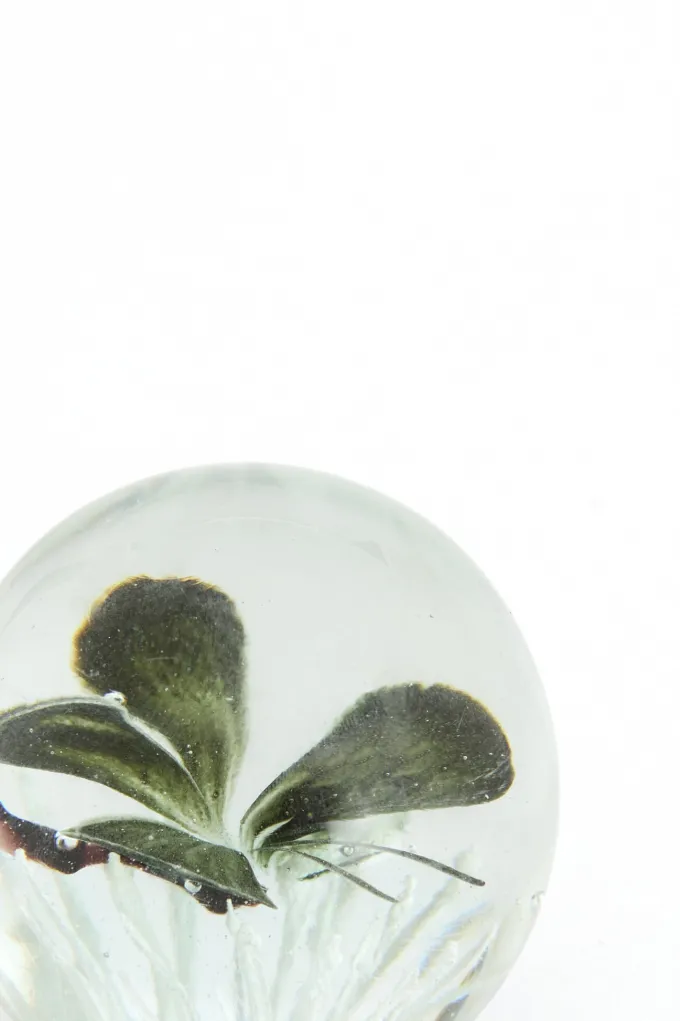 Light en Living Ornament Ø8x8 cm BUTTERFLY glas zwart
