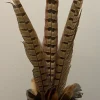 Light en Living Ornament Ø15x60 cm PHEASENT donker bruin