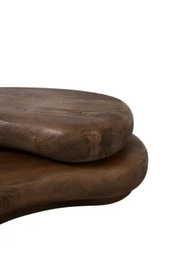 Light en Living Salontafel 99x60x32 cm PAYU mango hout mat donker bruin