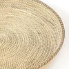 Light en Living Schaal/wandorn Set van 3 Ø25x3,5+Ø35x6+Ø45x7 cm BURICA zeegras nat