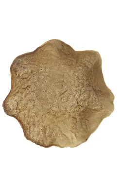 Light en Living Schaal 34x31x11 cm BANDA keramiek bruin