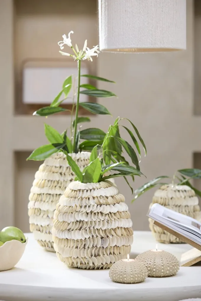 Light en Living Vaas deco SARRIA Ø26 x 27 bamboo + schelp creme